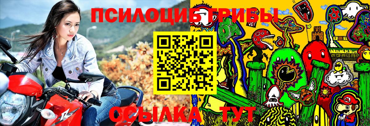 Чебаркуль  Псилоцибиновые грибы Psilocybine cubensis  Вход с VPN  Галлюциногенные грибы MAGIC MUSHROOMS 